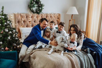 Хаски для фотосессии