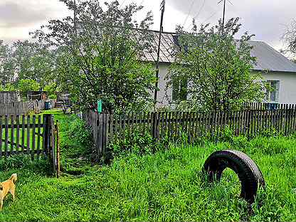 Погода ребрихинский село белово