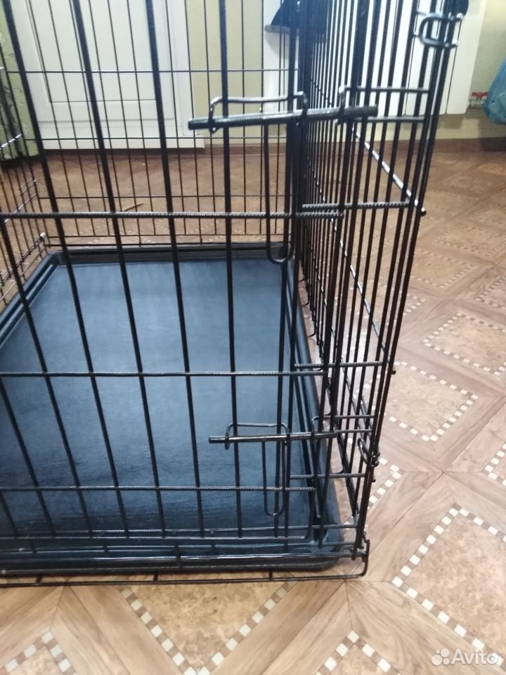 Sell a cage for the dog 89049919150 buy 3