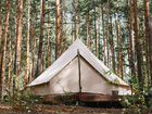 Отдых с палатками в сосновом лесу от 