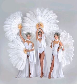 Шоу-балет Sweet dreams