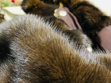 Шубка норковая для собак (новая)