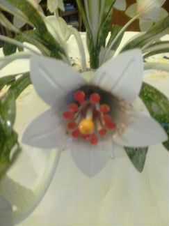 Люстра флористика