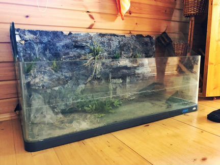 Террариум-аквариум