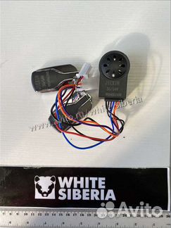 Citycoco Сигнализация с блокировкой мотора