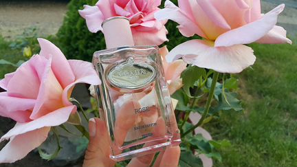 Prada Infusion de Rose 100 мл тестер