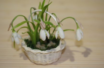 Подснежники