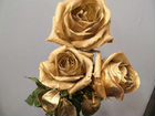 Золотые розы объявление продам