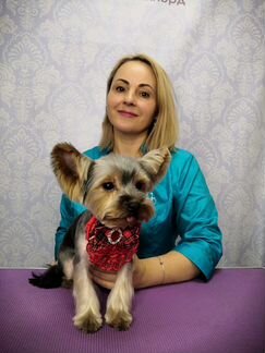 Стрижка собак и кошек