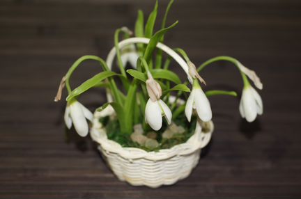 Подснежники