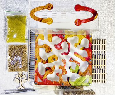 Муравьиная ферма комплект Муравьиная ферма