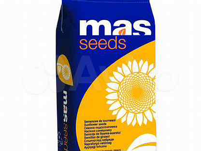 85 мас. Mas Seeds. Мас 87 Ир гибрид подсолнечника. Mas Seeds семена. Мас 880 Су гибрид подсолнечника описание.