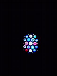 Apple Watch 2 (42mm)