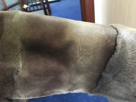 Шуба норка стриженная