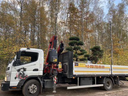 Аренда манипулятора