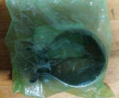 Зажим выпуска Jaguar / Land Rover оригинал новый