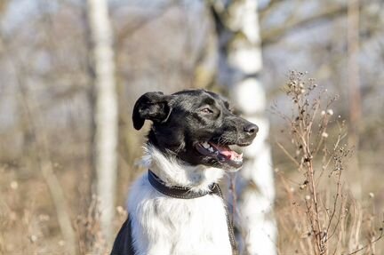 Кайли ищет дом