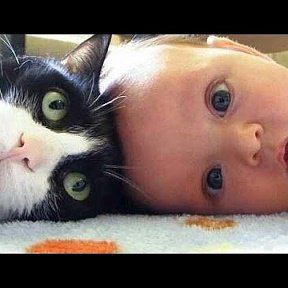 Вебинар Правильное воспитание Дарья Гинзбург