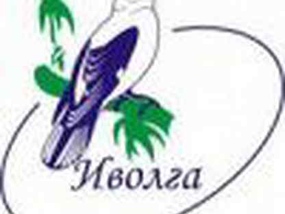 логотип турфирмы иволга. комсомольская 28 хабаровск. иволга магазин одежды. масло иволга. логотип базы отдыха.