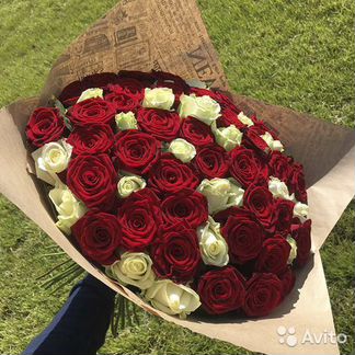 101 роза Цветы розы букеты доставка 25 51 101 роза